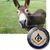 Thomas Harrington's profile image