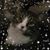Bobbi Hess Dills's profile image