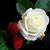 Christina Anderson's profile image