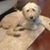 Linda Ballan's profile image