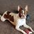 Kevin DePew's profile image