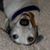 Terri Jacobson's profile image