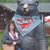 Dawn Parrish's profile image