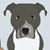 Tina Agnello's profile image
