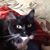 Terry Moore's profile image
