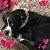 Kimberly Puckett's profile image