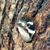 Bonnie Beffa's profile image