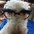 Debbie Schwartz's profile image