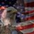 Adam French's profile image
