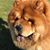 Jan Bates's profile image