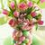Stacey Flach's profile image