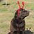 Faith Newkirk Harris's profile image