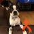 Cindy Dougherty-Napier's profile image