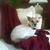 Carolyn Colglazier's profile image