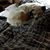Dawn Nicolle Jacon's profile image
