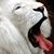 Sidney H. Riley's profile image