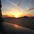 Allison Davis's profile image