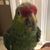 Trudy Dowell's profile image