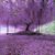 Michelle Andreas's profile image