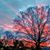 Audrey Lee Howell's profile image