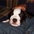 Luchana Donna's profile image