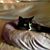 Meredith Neu's profile image