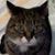Teresa Lawson-Seaton's profile image