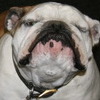 simon675's profile image