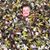 Matthew Judd's profile image