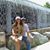 Naty Cintron's profile image