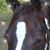 Nicole Nadeau's profile image