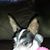 Debbie Majka's profile image
