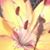Janet Rowe's profile image