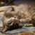 Karen Robbins's profile image