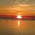 Renita Swann's profile image
