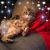 Stella Marit Turner's profile image
