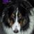 Shellie Malone's profile image