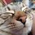Jessica M. Koepsel's profile image