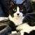 Dawn Helman's profile image