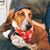 Balleins Bassets's profile image