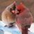 Valerie Truitt Rucker's profile image