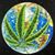 Tracy Chadwick's profile image