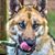 Bill Bertke's profile image