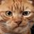 Christine Crist's profile image