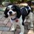 Celeste Pierson Fleming's profile image