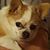 Madeline Jochum Kidric's profile image