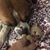 Johnathon McDaniel's profile image