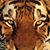 Patricia Richardson's profile image