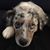 Joe Cappelleri's profile image