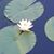 Karen Miller Collins's profile image